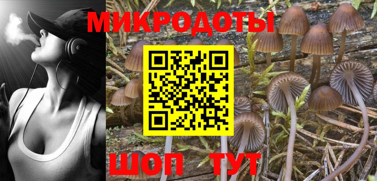 Черняховск  Галлюциногенные грибы Psilocybine cubensis  Вход с VPN 